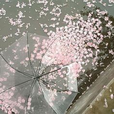 an umbrella with pink flowers floating on the water