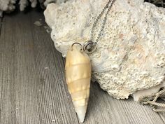 "Seashell Conch Shells Pendant Necklace A simply lovely necklace features a large shell pendant. The shell makes a lovely statement pendant and is suspended by a simple silver plated chain that measures 18\" in length and is completed with a silver plated lobster clasp. This necklace will make a perfect gift for a beach lover, shell collector or anyone looking for a fun focal Piece of jewelry that will match almost any outfit!" Silver Shell Necklace For Vacation, Shell Necklace With Lobster Clasp, Bohemian Shell Necklace With Lobster Clasp, Bohemian Beach Shell With Lobster Clasp, Conch Shells, Beach Jewelry Boho, Necklace Shell, Jewelry Beach, Seashell Jewelry