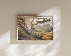 a painting hanging on the wall in front of a window with sunlight coming through it