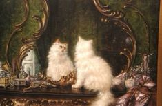 two white cats sitting on top of a table in front of a mirror and other items