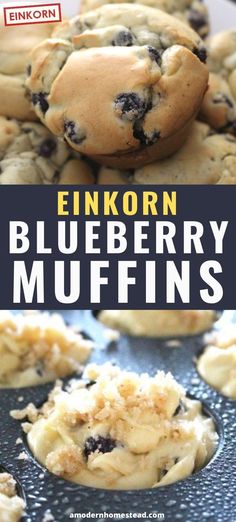 blueberry muffins in a muffin tin with the words, enkorn blueberry muffins