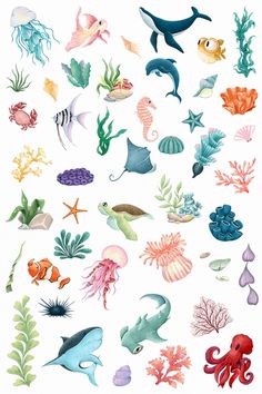 an ocean scene with various types of sea animals and fish on the bottom right hand corner