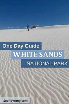 a person standing on top of a white sand dune with text overlay that reads one day guide white sands national park