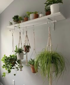 several hanging plants and potted plants in pots on a shelf above a bed or couch