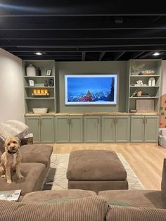 a dog sitting on the couch in front of a flat screen tv and bookshelves