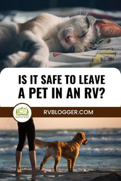 a cat and dog on the beach with text that reads is it safe to leave a pet in an rv?