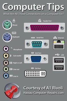 computer tips what are all those connections on a computer for? by person, via internet