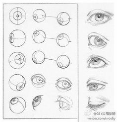 an image of different types of eyes in various stages of drawing, including the eyeball and