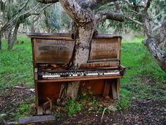 two people are standing next to an old piano in the woods with trees behind them