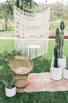 some potted plants are sitting on a blanket in front of a hanging macrame