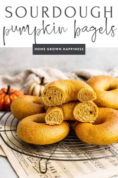 Enjoy sourdough recipes using starter to create pumpkin bagels with a gorgeous golden hue, chewy exterior, and soft, tender inside. Sourdough Recipes With Starter, Easy Sourdough Recipes, Pumpkin Bagels, Sourdough English Muffins, Streusel Topping