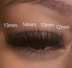 Lash Layout, Lash Sets With Mapping, Rich Off Lashes, Doll Eye Volume Lash Extensions, Lash Extensions Ideas, Classic Hybrid Lashes, Lashes Map, Lash Mapping Eyelash Extensions, Lashes Ideas