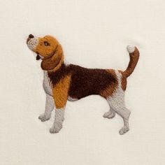 a brown and white dog standing on top of a white surface