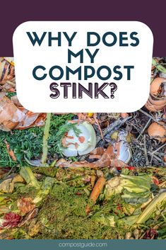 the words why does my compost stink? surrounded by garbage