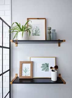 two shelves with plants and pictures on them