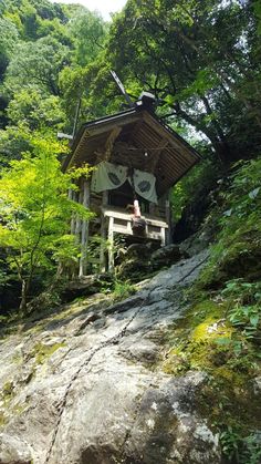 a small wooden structure sitting on top of a lush green hillside next to a forest