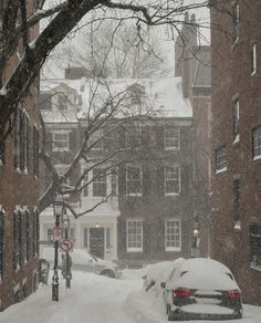 a snowy street with cars parked on it