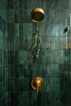 a green tiled shower with gold fixtures and plants hanging from the faucet above it