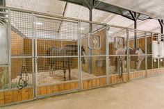 several horses are standing in their stalls at the zoo