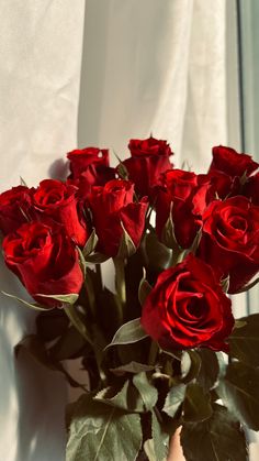 a vase filled with red roses sitting on top of a window sill next to a curtain