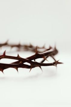 a crown of thorns on top of a white surface