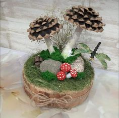 an arrangement of mushrooms, grass and rocks in a wooden box with pine cones on top