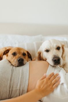 a pregnant woman with two dogs laying on her stomach and the dog is looking over her shoulder