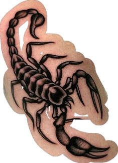 a scorpion tattoo is shown on the arm