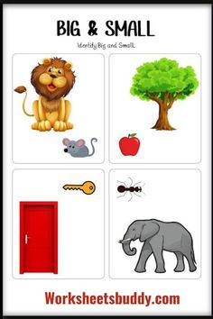 the worksheet for big and small is shown with pictures of animals, trees, and