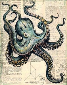 an octopus is sitting on top of a book page