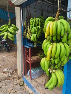 bunches of bananas are hanging from the ceiling in front of a building with blue shutters