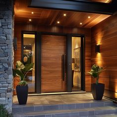 two large planters are on the front steps of a modern home with wood paneling and glass doors