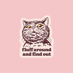 A cat sticker with text underneath that reads, 'fluff around and find out'. Sticker With Text, Mad Cat, Vet Medicine, Puzzle Crafts, Sweets Gift, Candle Cards, Notes Gift, Book Candle, Dried Floral