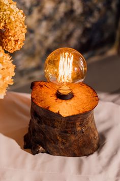 a light bulb sitting on top of a piece of wood with flowers in the background