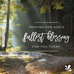 a forest with the words, praying for god's fullest blessing for you today