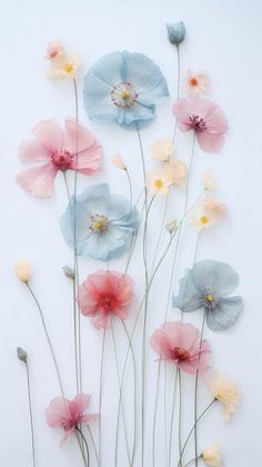 colorful flowers are arranged on a white surface