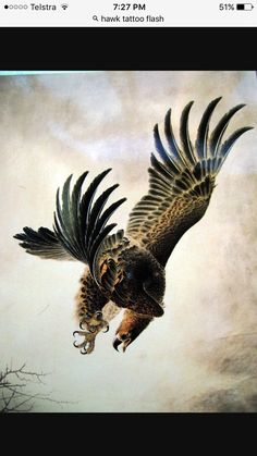 an eagle flying through the air with its wings spread out and taloning it's claws