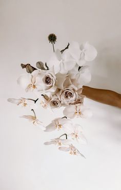 someone holding a bouquet of white flowers in their hand with the caption'bloodwoodbotanica nosa, queensland '