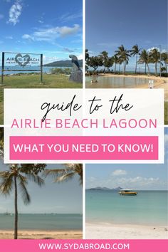 the guide to the arlie beach lagoon what you need to know