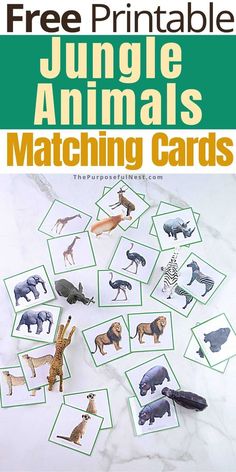 the free printable jungle animals matching cards are great for kids to practice their identification skills