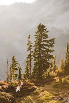 a bride and groom are walking through the woods in front of mountains with pine trees