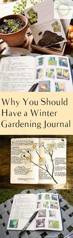 an open book with the title why you should have a winter gardening journal on it