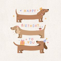 three dachshunds with happy birthday greetings on them, one is brown and the other is tan