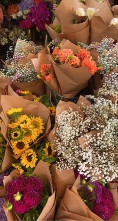 a bunch of flowers that are sitting on the ground together in front of each other