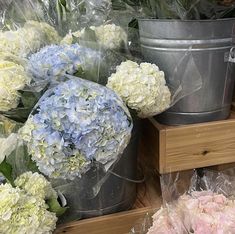 several buckets filled with white and blue flowers