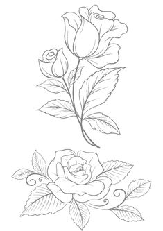 a drawing of two roses with leaves on the bottom and one flower in the middle