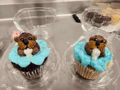 two cupcakes with blue frosting and brown teddy bear decorations on each one