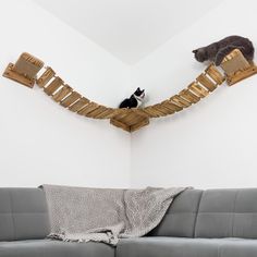 two cats sitting on top of wooden ladders in a living room next to a couch