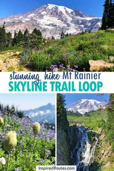 the best hikes and what to see and do in paradise, mount rainier