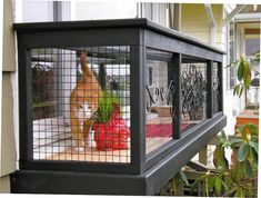 a caged porch with fruit and vegetables on the table in front of a house